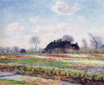 Клод Моне Тюльпанные поля в Сассенхайме, близ Лейдена 1886г 73х59 Sterling and Francine Clark Art Institute at Williamstown, MA, USA